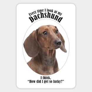 Lucky Dachshund Magnet